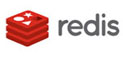 Redis Database