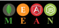 Our Expertise - MEAN Stack